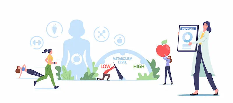 How to Get a Fast Metabolism: Science-Backed Strategies